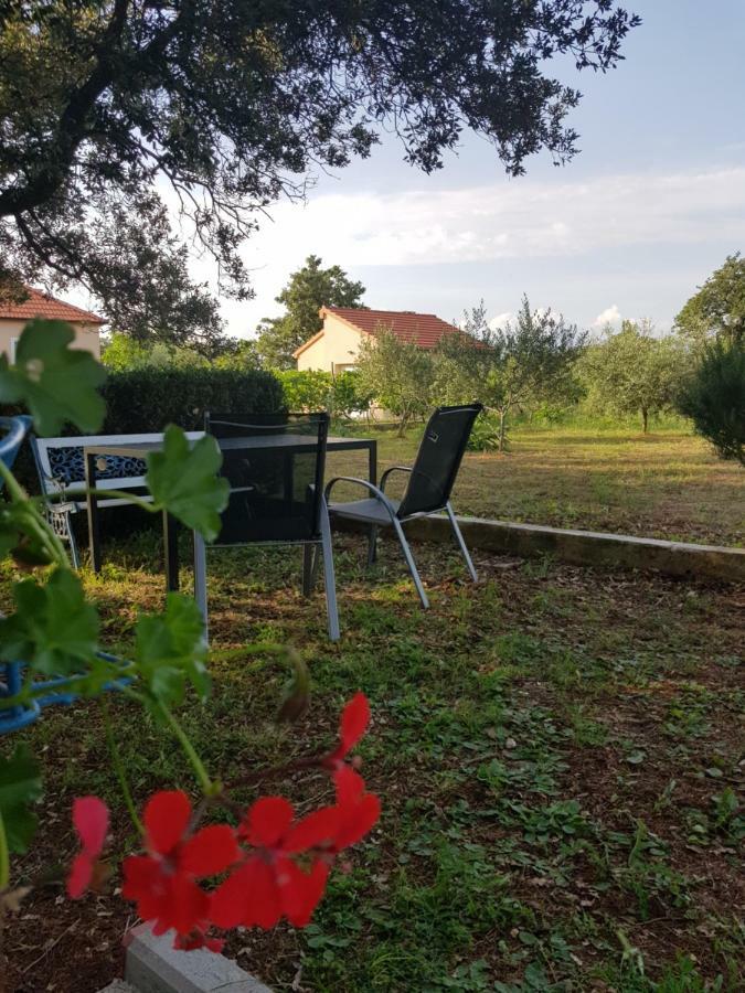 Apartment Brigitte Vrsi Εξωτερικό φωτογραφία